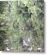 Monet's Pond Metal Print