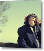 Monkey Communication Metal Print