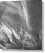 Monochrome Skies Metal Print