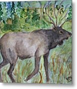 Montana Elk Metal Print