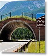 Montana Highway - #2 Animals' Bridge Metal Print