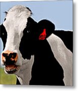 Moo Cow Metal Print