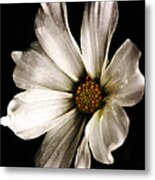 Moody Bloom Metal Print