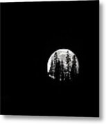 Moonlight Metal Print