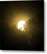 Moonrays Metal Print