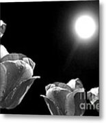 Moonshined Tulips Black White Metal Print