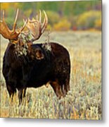 Moose Camo Metal Print