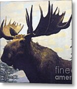 Moose Diorama Metal Print