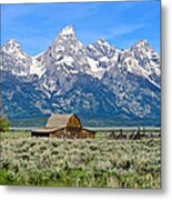 Mormon Row Metal Print