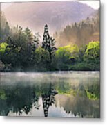 Morning Calm Metal Print