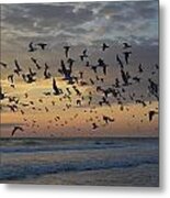 Morning Flight Metal Print