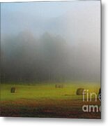 Morning In The Cove Metal Print