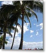 Morning Palms Metal Print