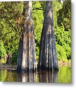 Morning Reflection Southern Louisiana Metal Print