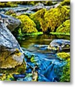 Mossy Creek Metal Print