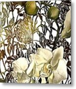 Moth Orchid With Moth Metal Print