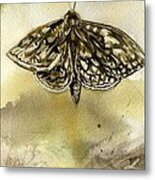 Moth With Abstraction Metal Print