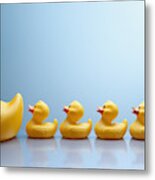 Mother Rubber Duck Leading Several Rubber Ducklings Metal Print