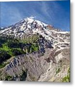 Mount Rainier And The Nisqually Glacier Metal Print