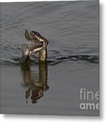 Mouthful Metal Print