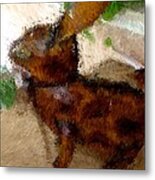 Mr. Brown Rabbit Metal Print