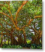 Mr. Mac's Tree Metal Print