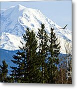 Mt. Rainier And A Bald Eagle Metal Print