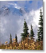 Mt Rainier Cloud Meadow Metal Print