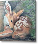 Mule Deer Fawn Metal Print