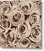 Multi Rose Sepia Metal Print