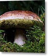 Mushroom Fairyland Metal Print