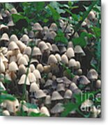 Mushroom Village Metal Print