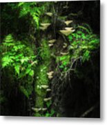 Mushroom Wall Metal Print