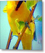 My Garden Oriole I Metal Print