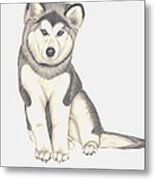 My Husky Puppy-misty Metal Print