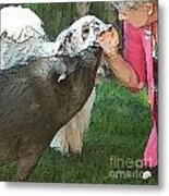 My Pig And Dog Friends Metal Print