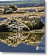 My Rock On Black Point - Mono Lake Metal Print