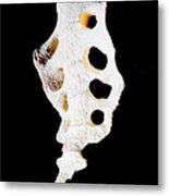 Mysterious Sacred Bone Metal Print