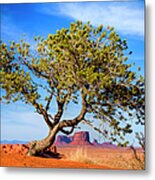 Mystery Valley Juniper Metal Print