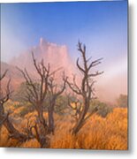 Mystic Wonders Metal Print