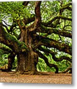 Mystical Angel Oak Tree Metal Print