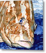 Nassau Grouper Portrait Metal Print