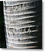 Natural Art Metal Print