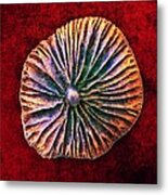 Nature Abstract 7 Metal Print