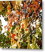 Nature In The City Metal Print
