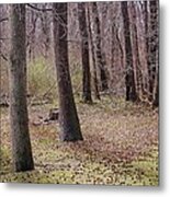 Nature Therapy Metal Print