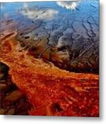 Natureprint Metal Print