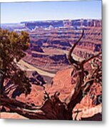 Nature's Frame - Dead Horse Point Metal Print