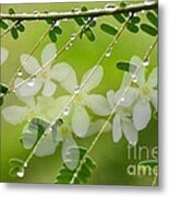 Nature's Jewelry Metal Print