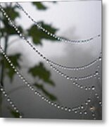 Nature's Pearls Metal Print